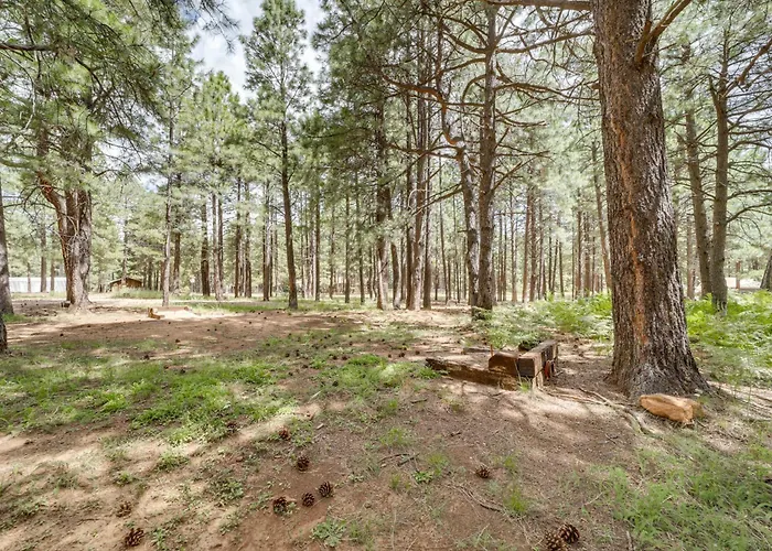 Fire Pit & Grill: Spacious 'forest Lakes Chalet' Holiday home